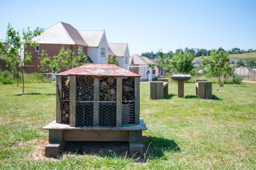 Bumblebee habitat