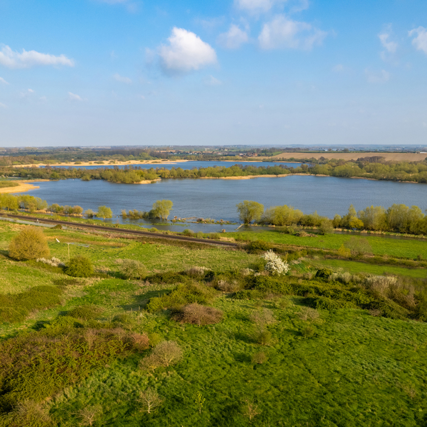 Conningbrook wetlands