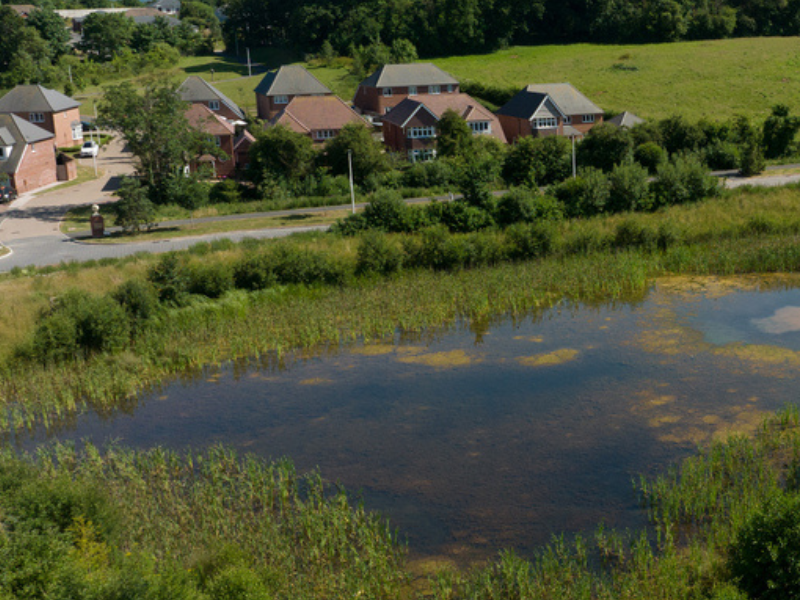 Sustainable Drainage system